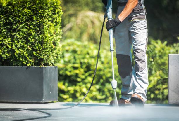 Best Driveway Pressure Washing  in , VA