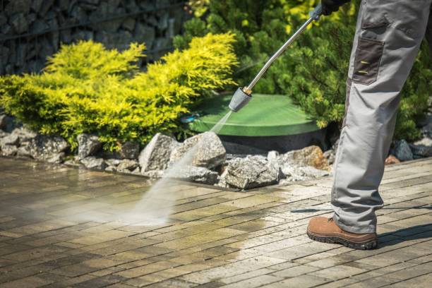 Best Spring Cleaning  in , VA
