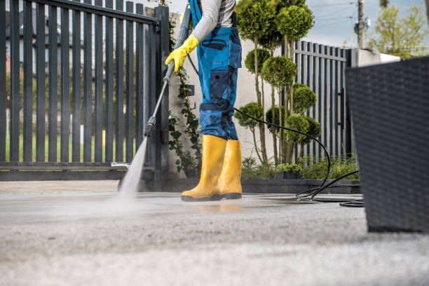 Best Dumpster Area Cleaning  in , VA